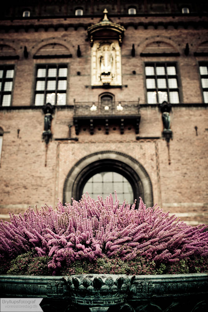 CIVIL MARRIAGE IN COPENHAGEN-2