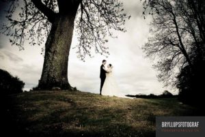 Several Steps to make 6 Months before your wedding
