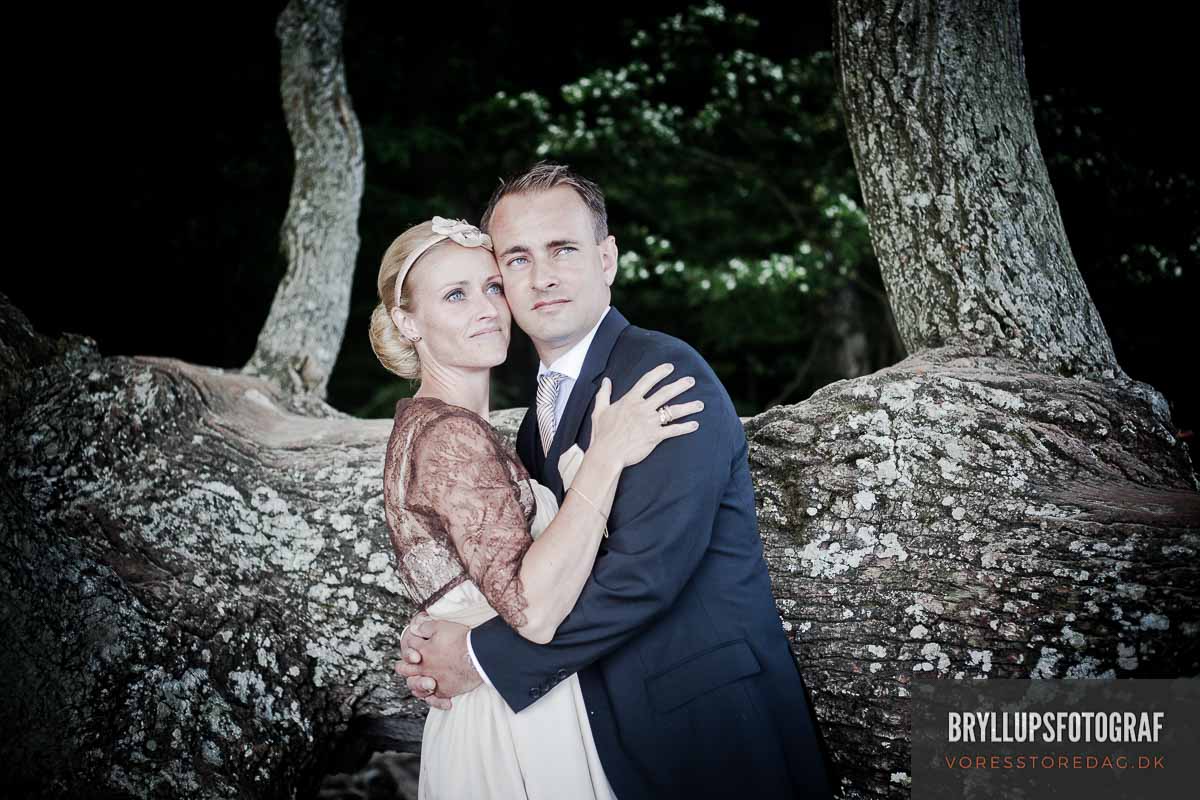 Cover Your Shoulders