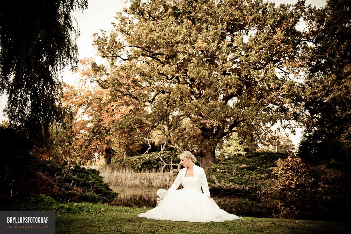 What is Your Opinion on the Seasons to get Married in?