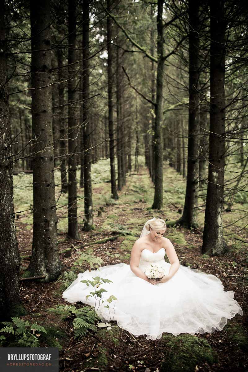 Splurge vs. Steal: Short & Sweet