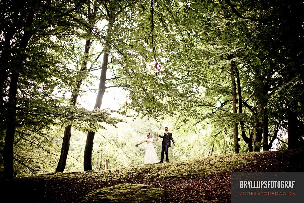 Wedding Planning Checklist and Guide